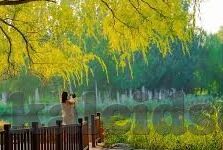 国产精品国产三级国产av麻豆-国产精品，寻找国产影视文化中的温暖与美