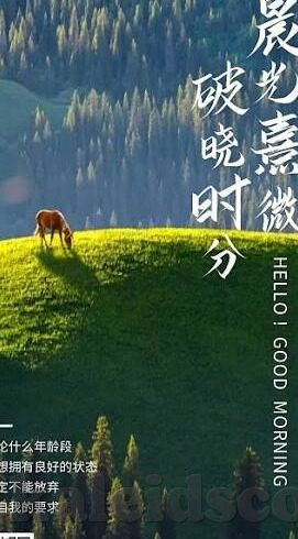麻豆传媒国产-本土影视佳作，麻豆传媒国产探索与创新之路