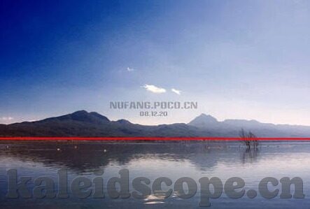 潘甜甜 果冻传媒 在线-潘甜甜与果冻传媒，在线世界的独特风景